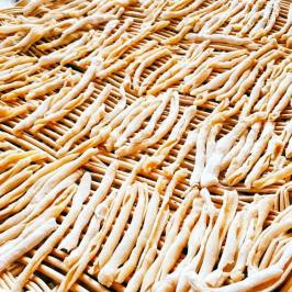 Cooking Class & Olive Oil Tour