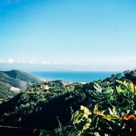 Cooking Class & Olive Oil Tour