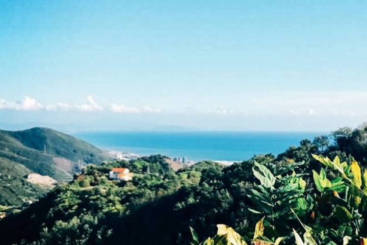 Cooking Class & Olive Oil Tour