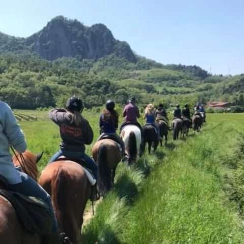 Euganean Hills Horseback Riding