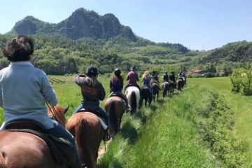 Euganean Hills Horseback Riding