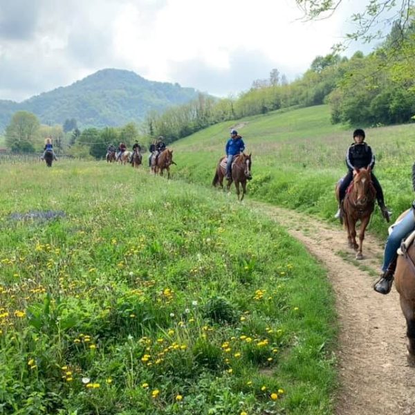 Euganean Hills Horseback Riding
