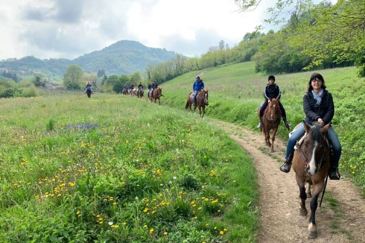 Euganean Hills Horseback Riding