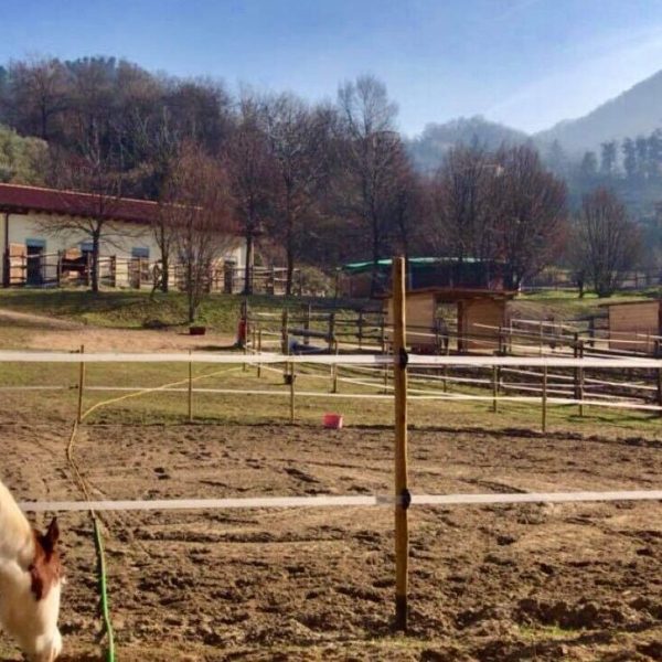 Euganean Hills Horseback Riding