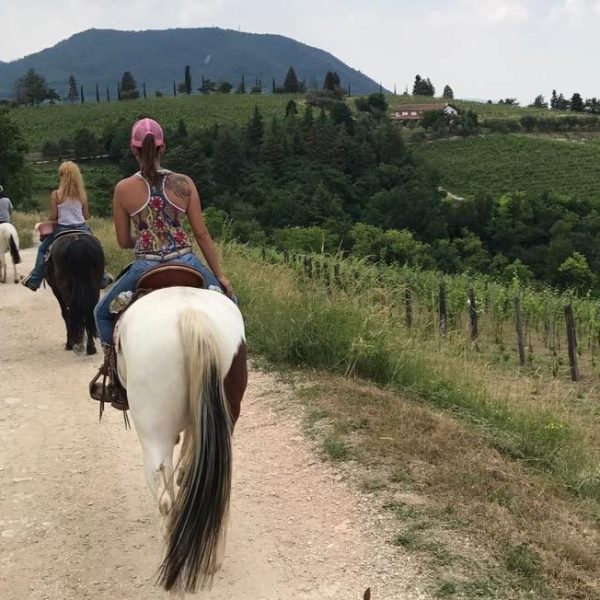 Euganean Hills Horseback Riding