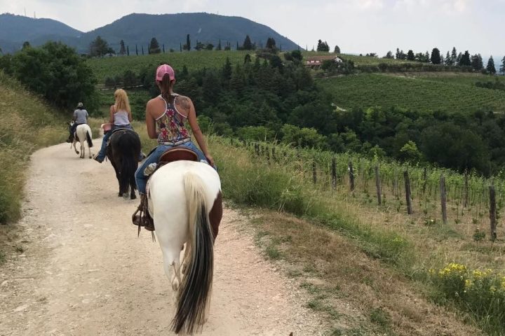 Euganean Hills Horseback Riding