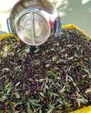 Euganean Hills Olive Oil tour