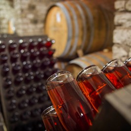 Euganean Hills Wine Tour