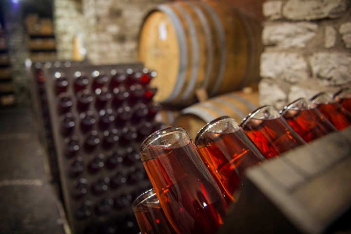 Euganean Hills Wine Tour