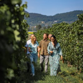 Euganean Hills Wine Tour