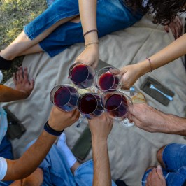 Euganean Hills Wine Tour