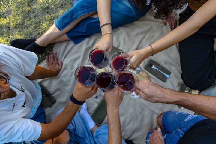 Euganean Hills Wine Tour