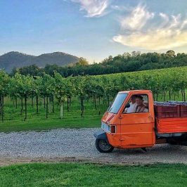 Euganean Hills Wine Tour