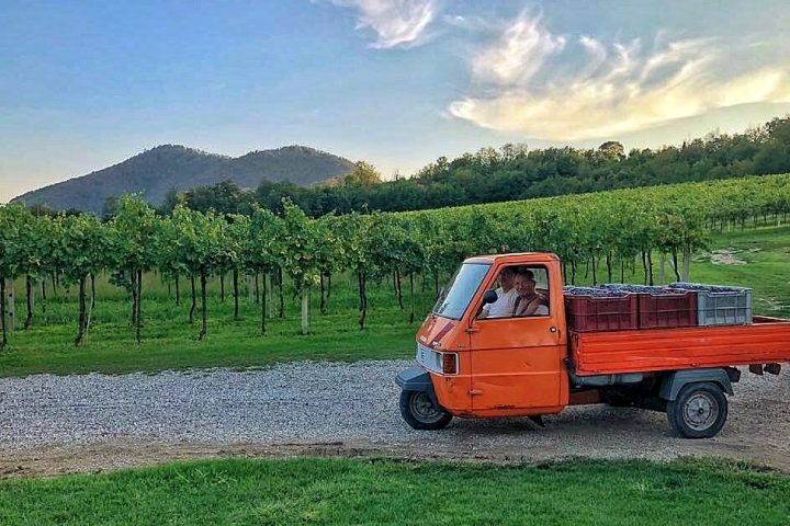 Euganean Hills Wine Tour