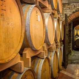 Euganean Hills Wine Tour