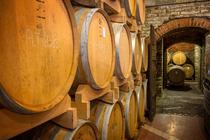 Euganean Hills Wine Tour