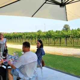 Euganean Hills Wine Tour