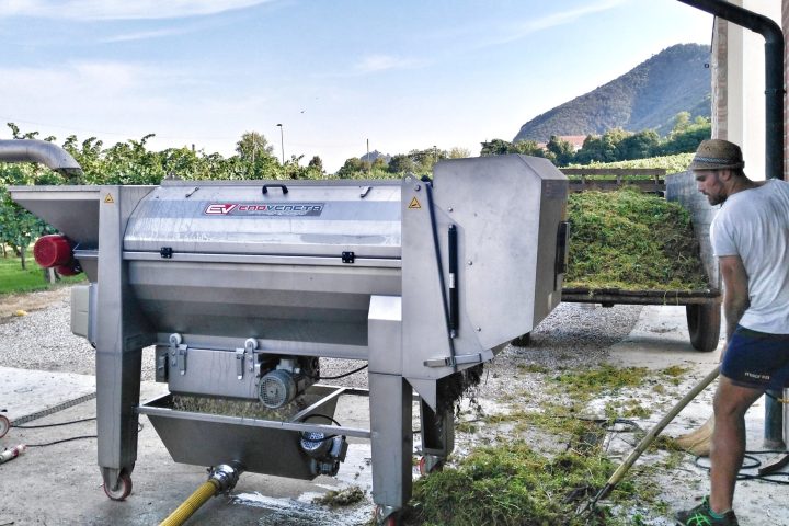 Euganean Hills Wine Tour