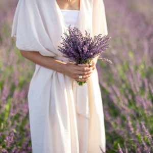 lavander farm experience