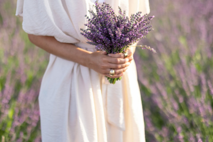 lavander farm experience