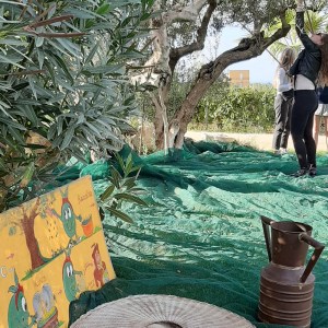 olive oil tour in italy