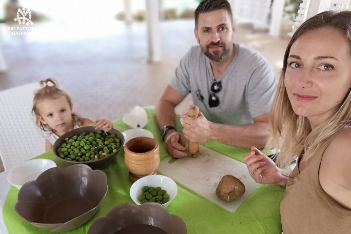 olive oil tour in italy