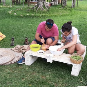 olive oil tour in italy