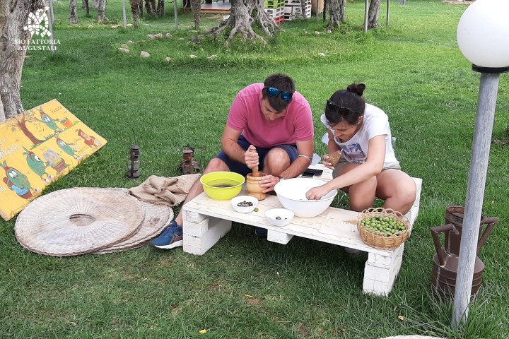 olive oil tour in italy