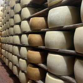 Parmigiano Reggiano Dairy Tour