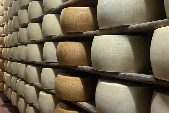 Parmigiano Reggiano Dairy Tour