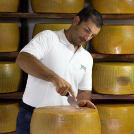 Parmigiano Reggiano Dairy Tour