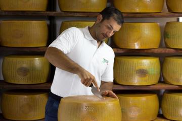 Parmigiano Reggiano Dairy Tour