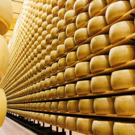 Parmigiano Reggiano Dairy Tour