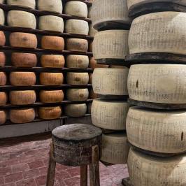 Parmigiano Reggiano Dairy Tour