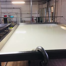 Parmigiano Reggiano Dairy Tour