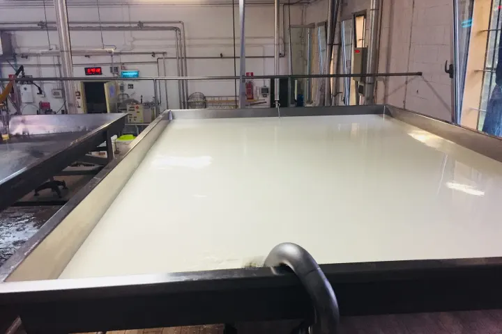 Parmigiano Reggiano Dairy Tour