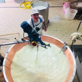 Parmigiano Reggiano Dairy Tour