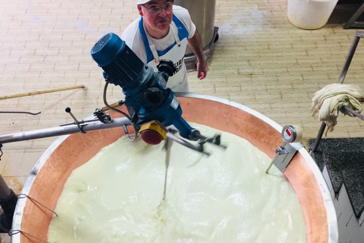 Parmigiano Reggiano Dairy Tour