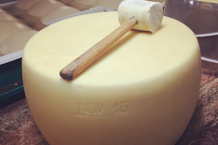 Parmigiano Reggiano Dairy Tour