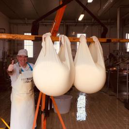 Parmigiano Reggiano Dairy Tour