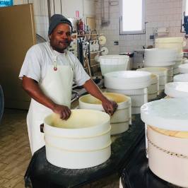 Parmigiano Reggiano Dairy Tour
