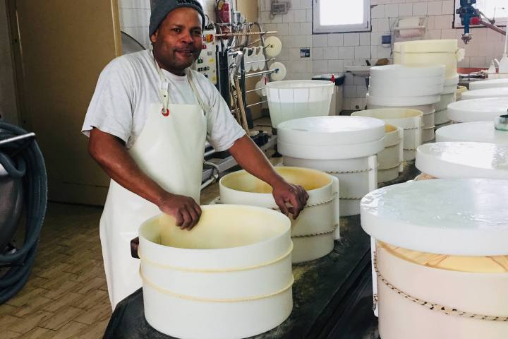 Parmigiano Reggiano Dairy Tour