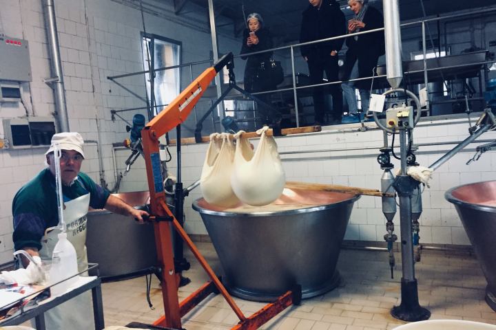 Parmigiano Reggiano Dairy Tour