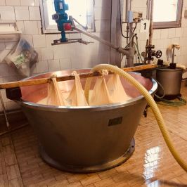 Parmigiano Reggiano Dairy Tour
