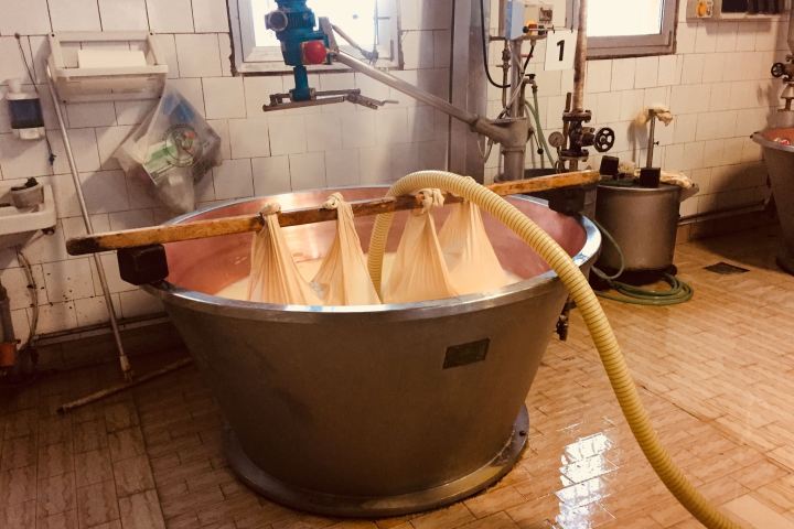 Parmigiano Reggiano Dairy Tour