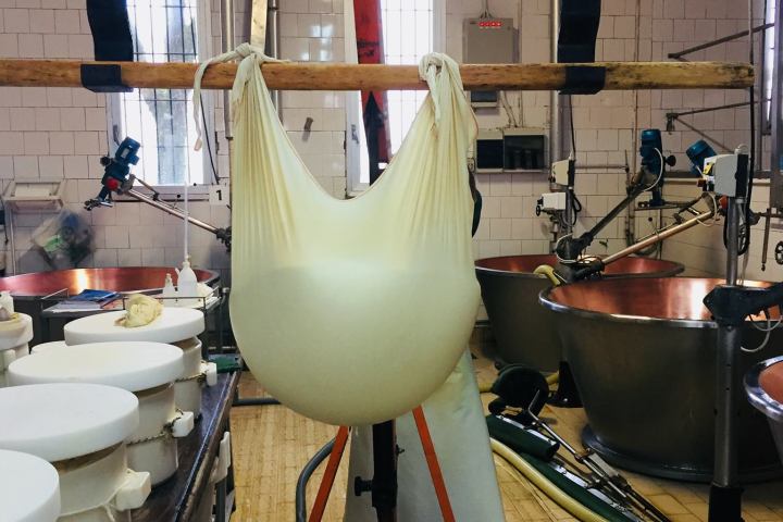 Parmigiano Reggiano Dairy Tour