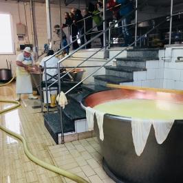 Parmigiano Reggiano Dairy Tour