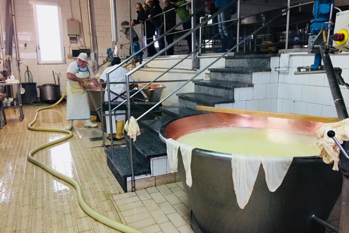 Parmigiano Reggiano Dairy Tour