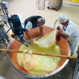 Parmigiano Reggiano Dairy Tour