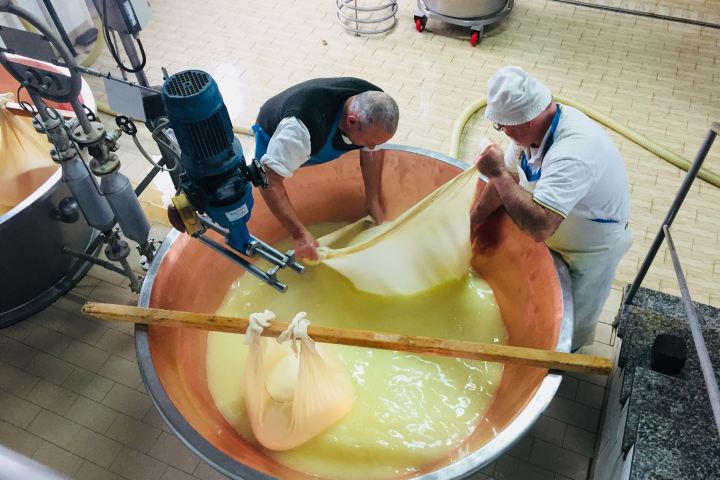 Parmigiano Reggiano Dairy Tour